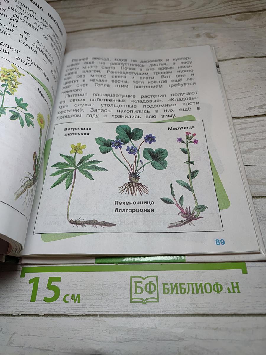Мир вокруг нас. Учебник для 2 класса. Часть 2
