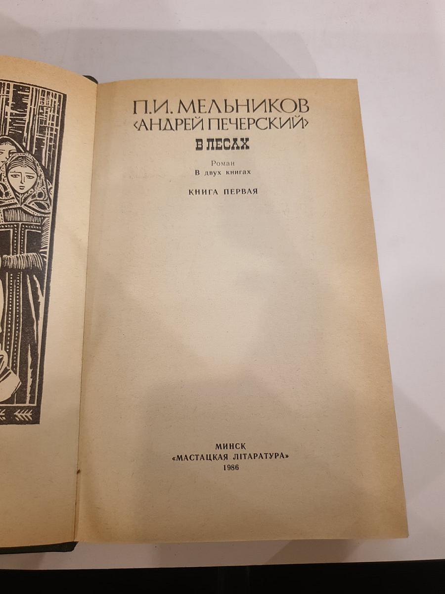 В лесах. Книга первая