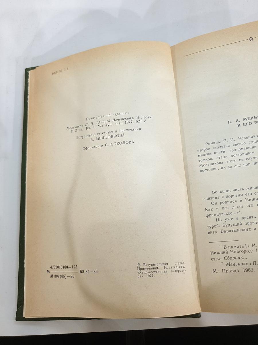 В лесах. Книга первая