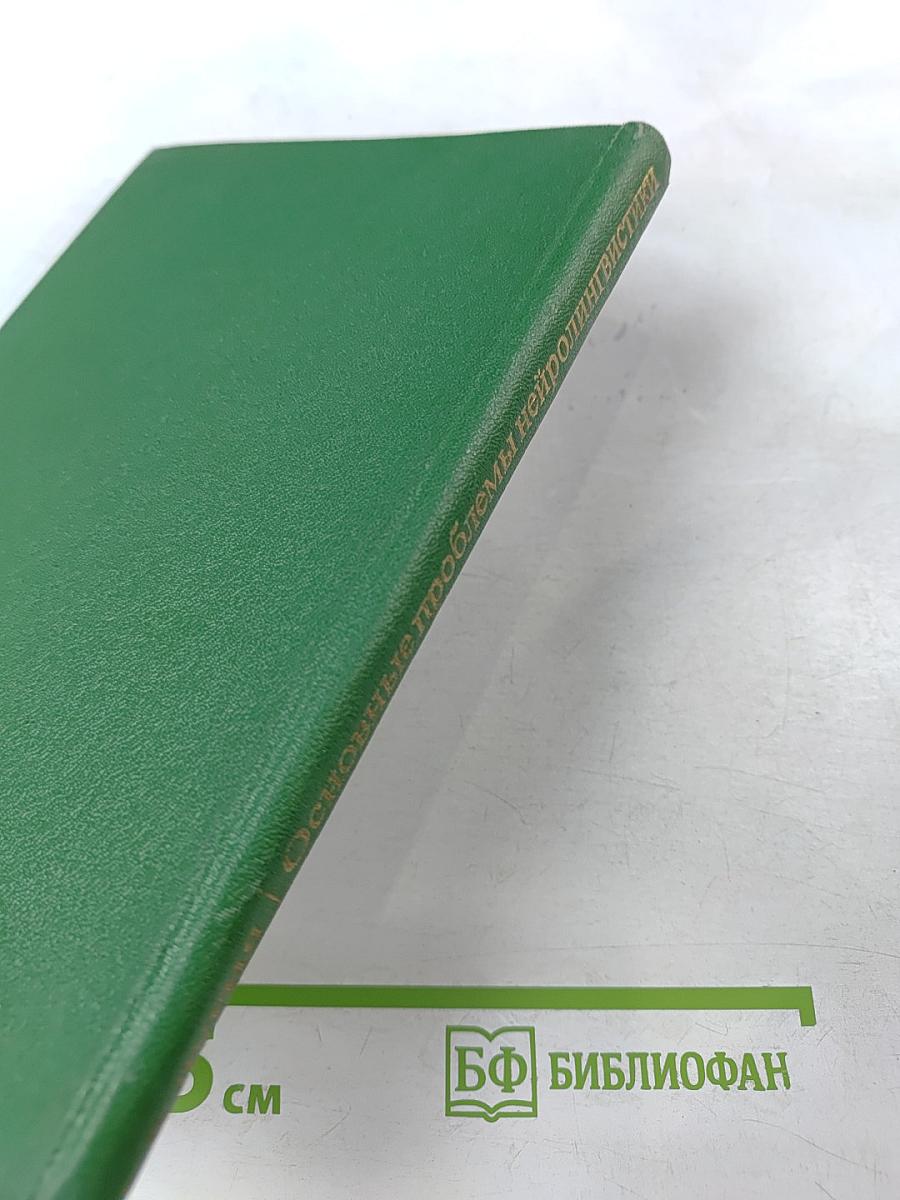 Основные проблемы нейролингвистики