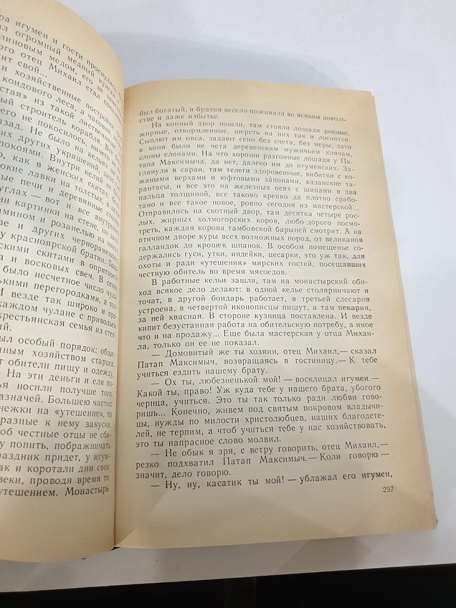 В лесах. Книга первая