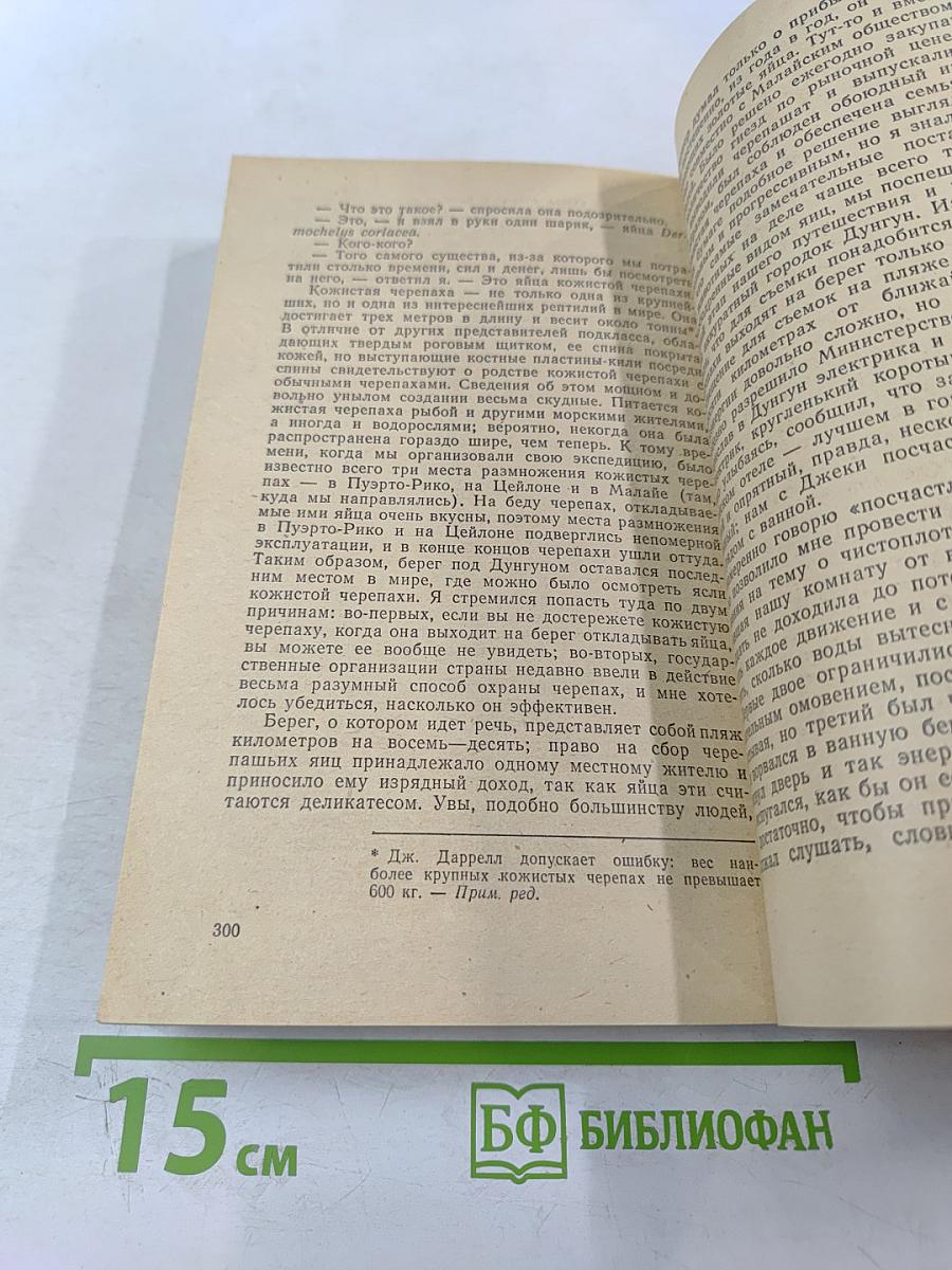 Три билета до Эдвенчер; Путь кенгуренка
