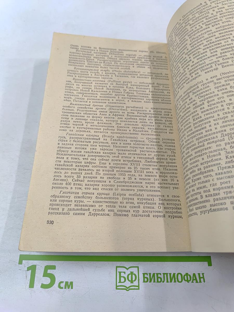 Три билета до Эдвенчер; Путь кенгуренка