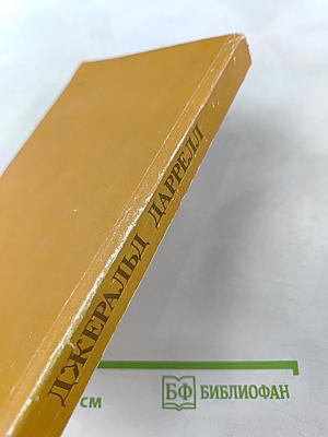 Три билета до Эдвенчер; Путь кенгуренка