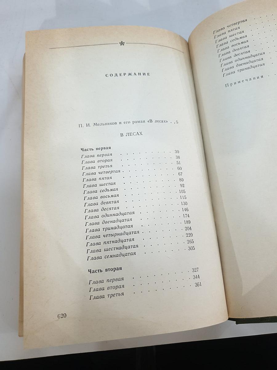 В лесах. Книга первая