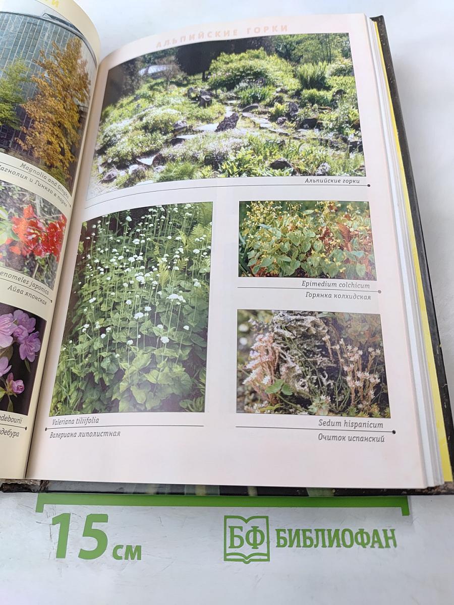 Растения открытого грунта Ботанического сада Ботанического института им. В. Л. Комарова