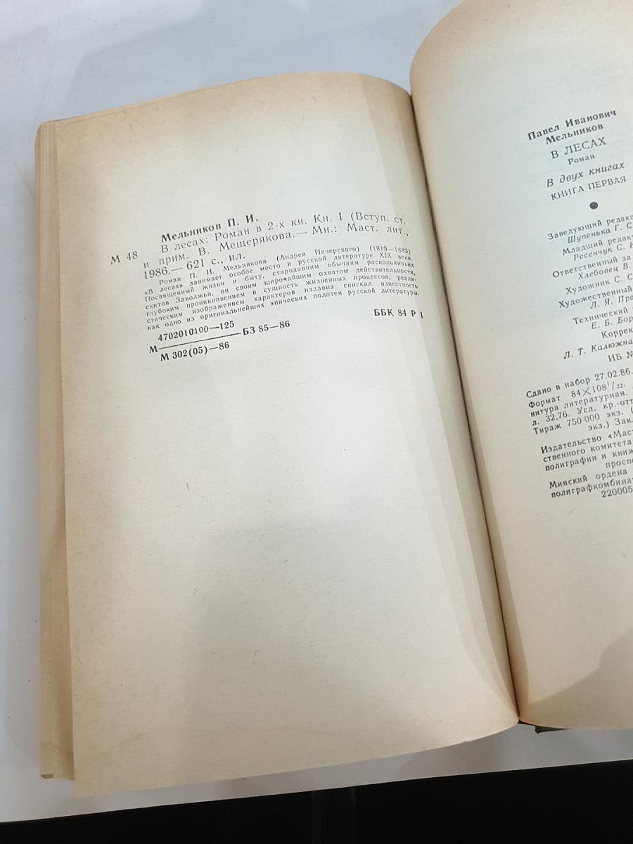 В лесах. Книга первая