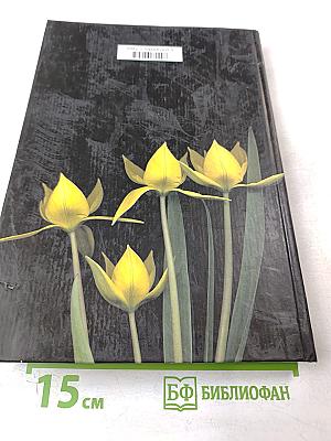 Растения открытого грунта Ботанического сада Ботанического института им. В. Л. Комарова