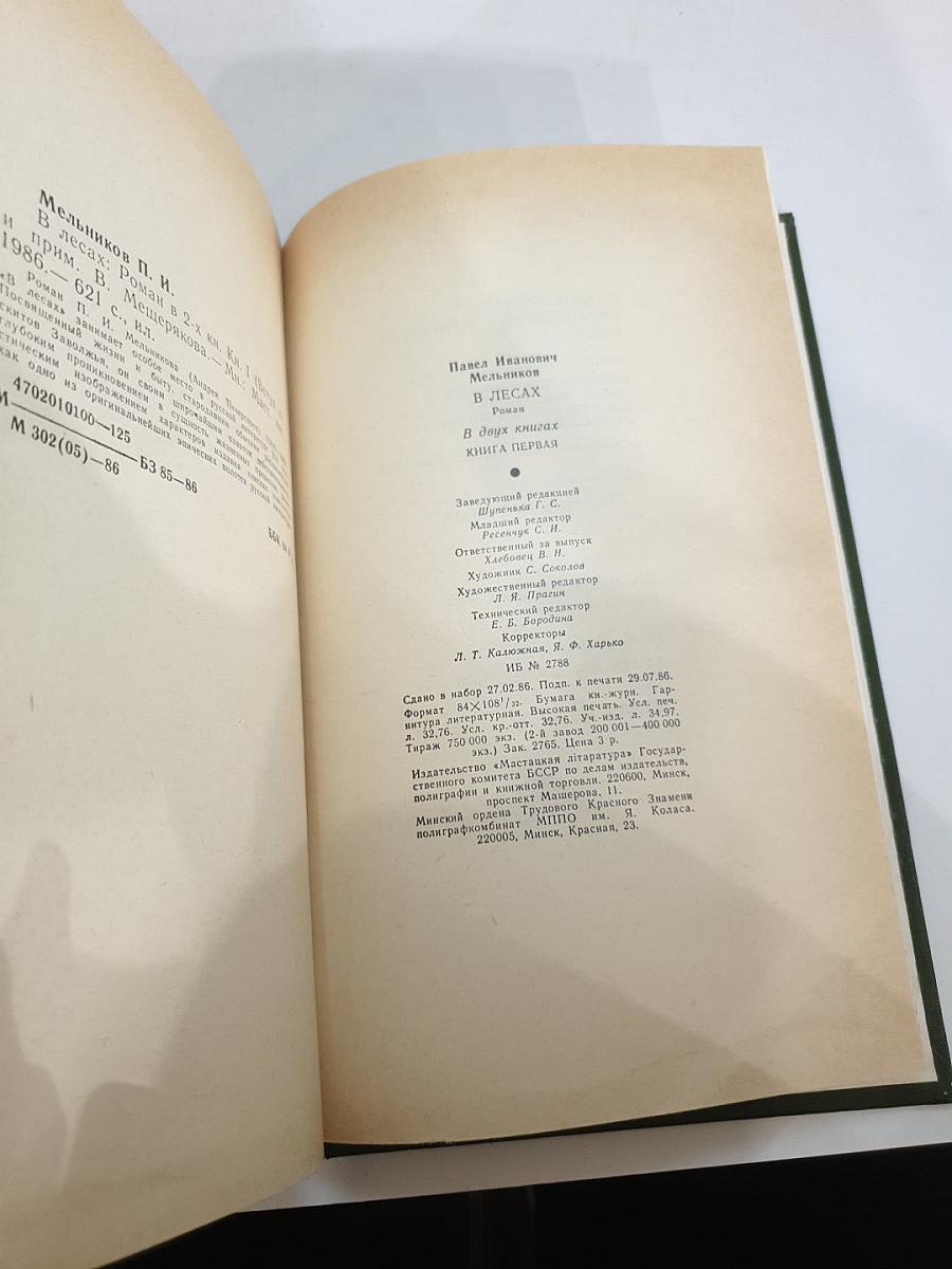В лесах. Книга первая