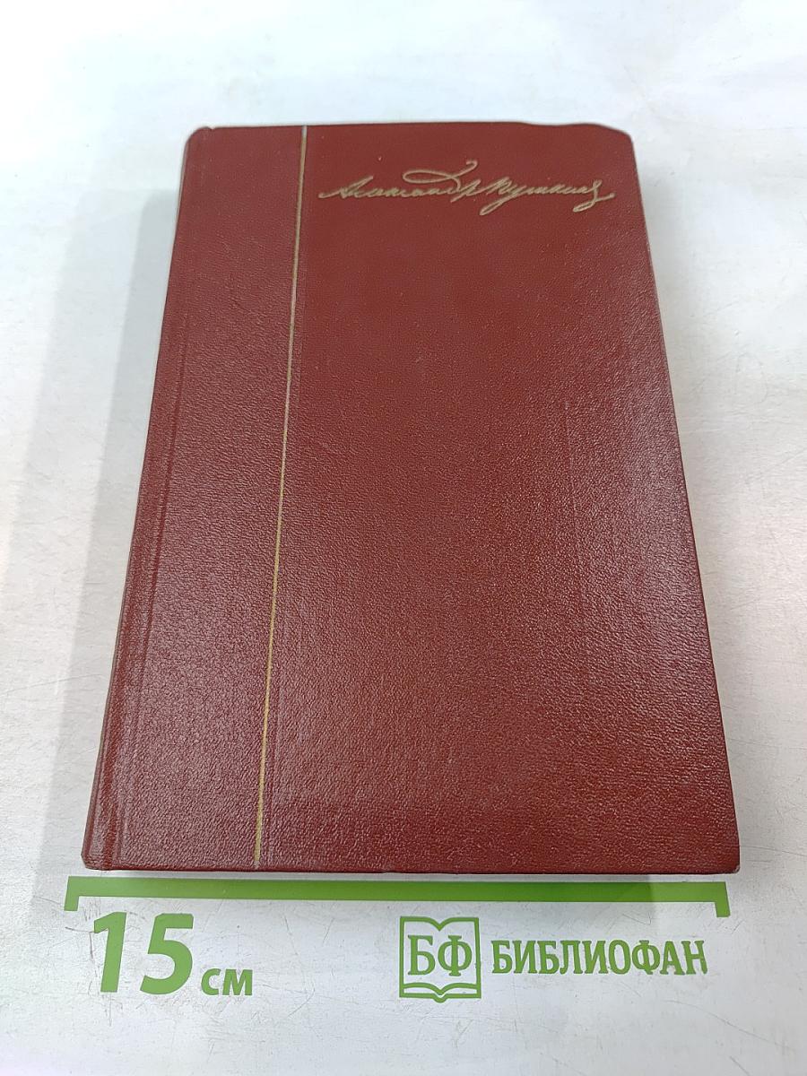 Собрание сочинений. Том 8: История Петра I. Записки Бригадира Моро-де-Бразе