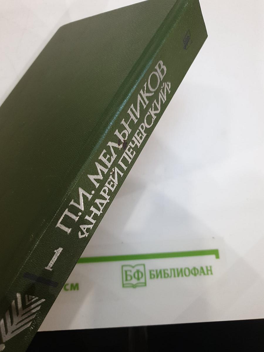 В лесах. Книга первая