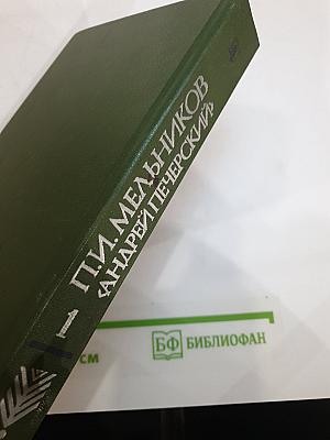 В лесах. Книга первая
