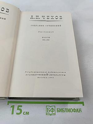 Собрание сочинений. Том девятый: Пьесы. 1880-1904
