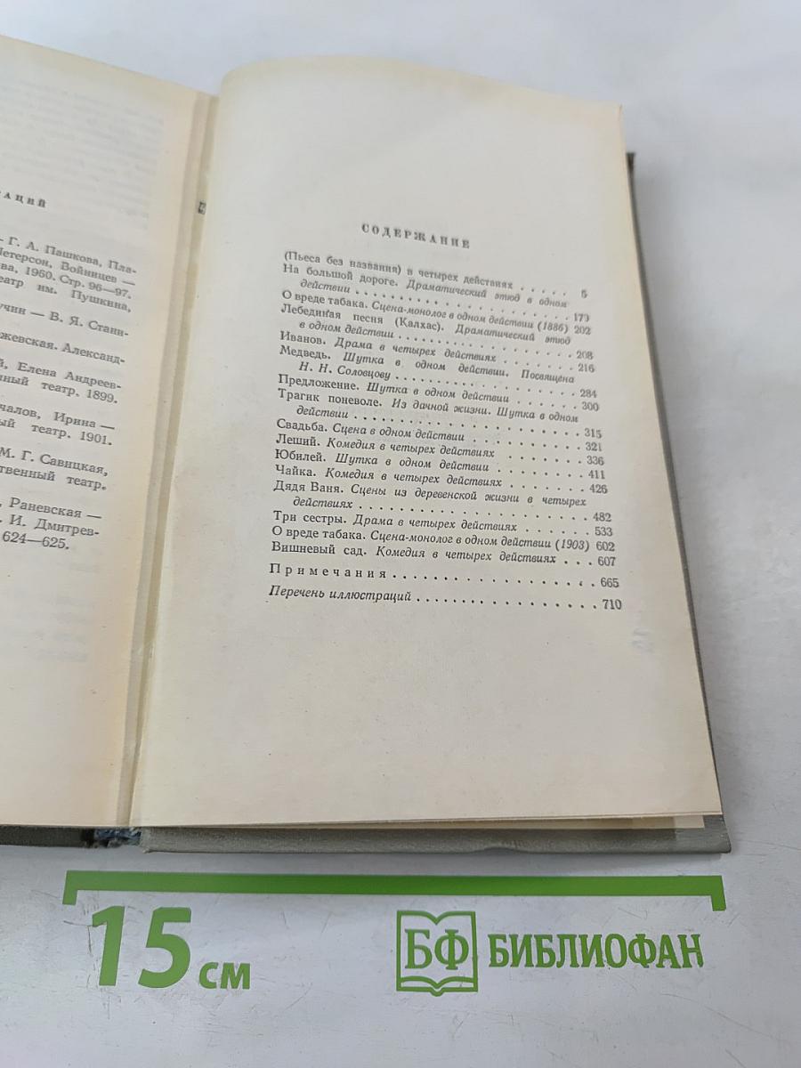 Собрание сочинений. Том девятый: Пьесы. 1880-1904