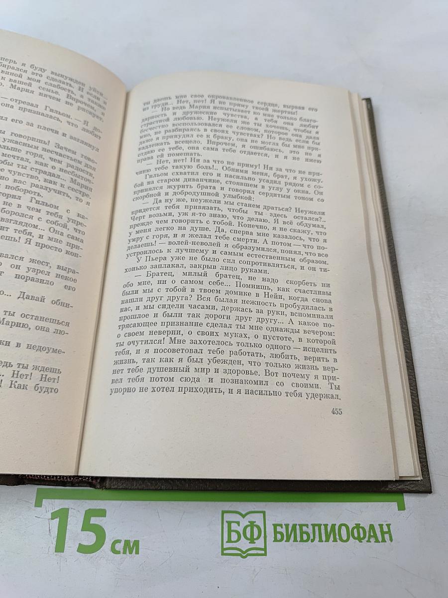 Собрание сочинений. Том девятнадцатый. Три города. Париж