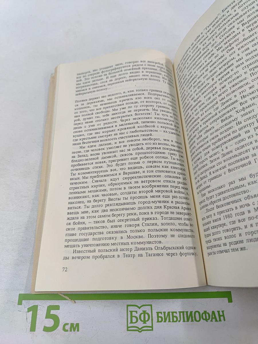 Владимир, или Прерванный полет