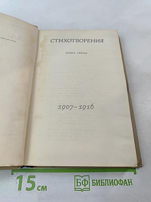 Собрание сочинений в шести томах. Том 3: Стихотворения (1907-1916)