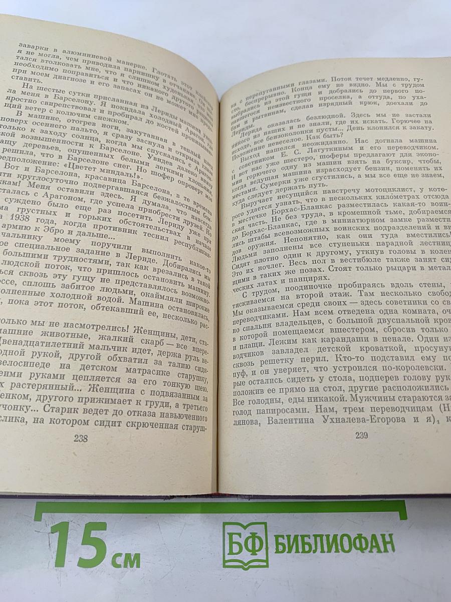 Ленинградцы в Испании