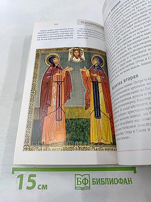 Чудотворные иконы и 60 исцеляющих молитв (Целебник спецвыпуск 3)
