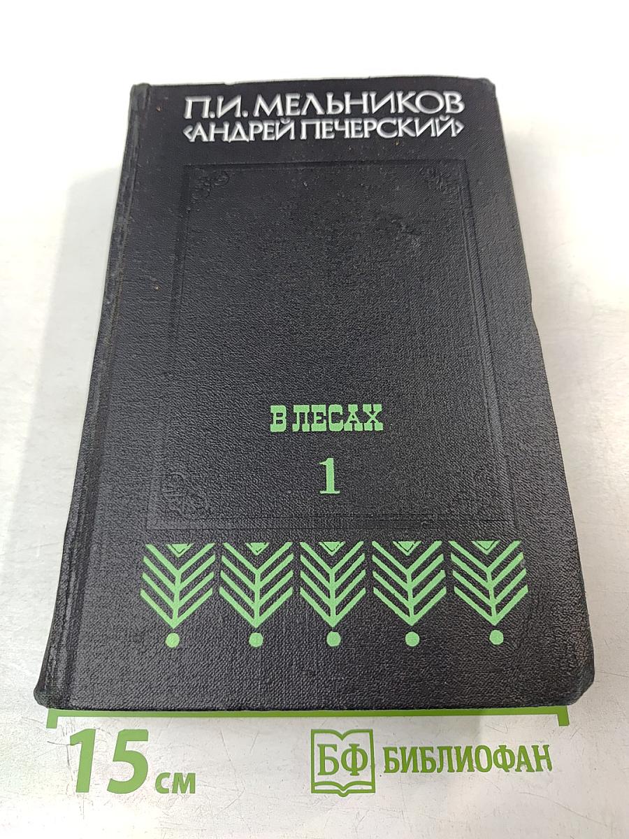 В Лесах. Книга первая