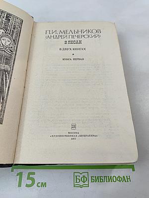 В Лесах. Книга первая