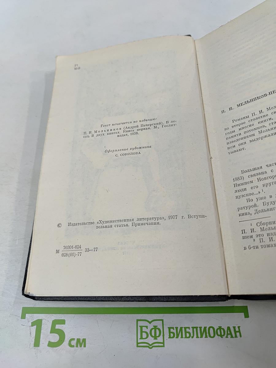 В Лесах. Книга первая