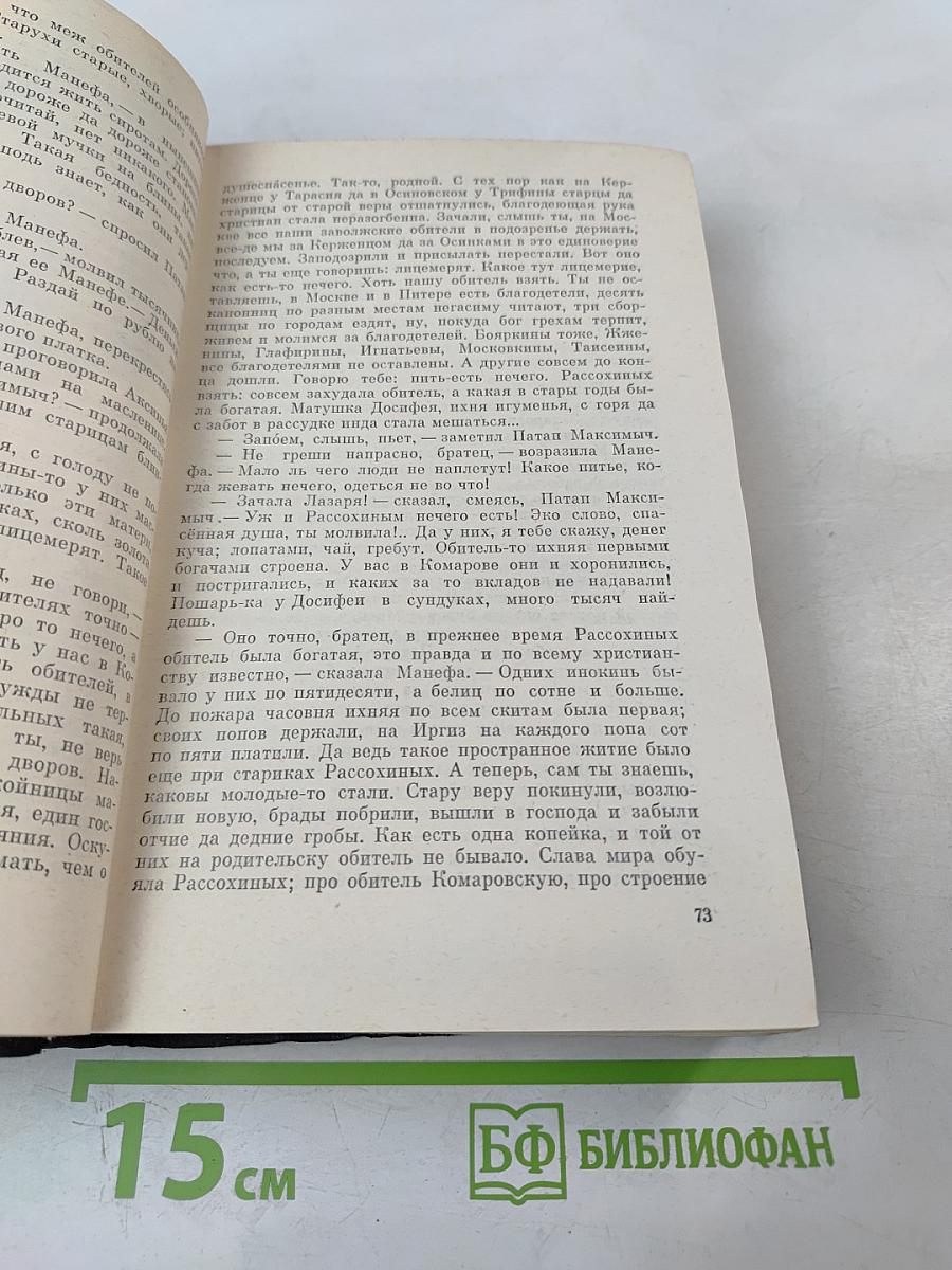 В Лесах. Книга первая