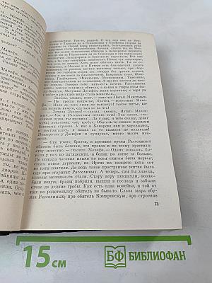 В Лесах. Книга первая