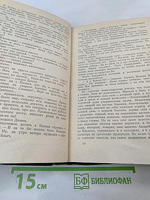 В Лесах. Книга первая