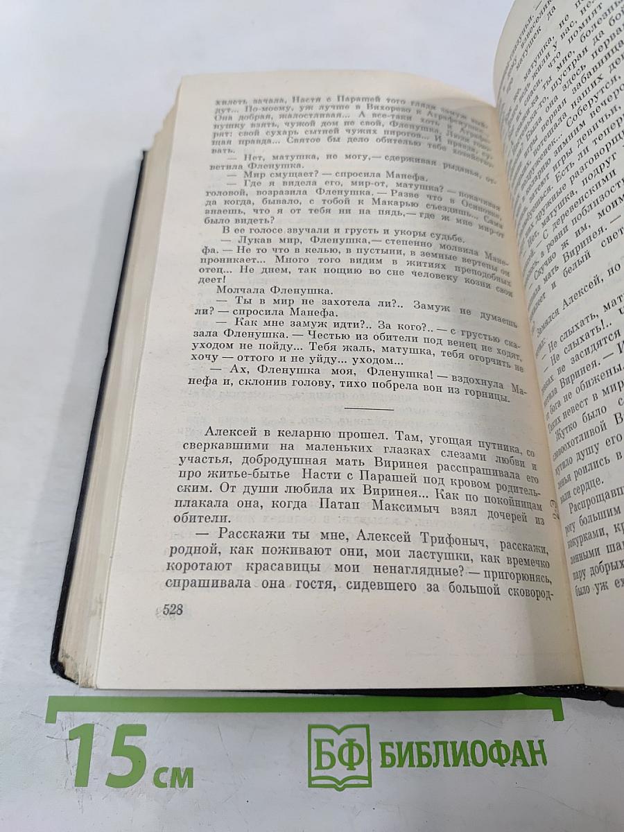 В Лесах. Книга первая