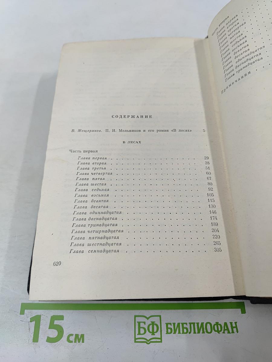 В Лесах. Книга первая