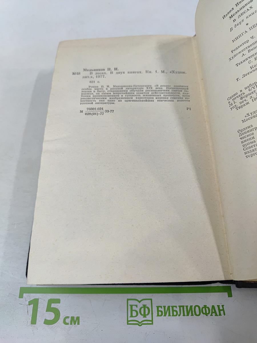 В Лесах. Книга первая