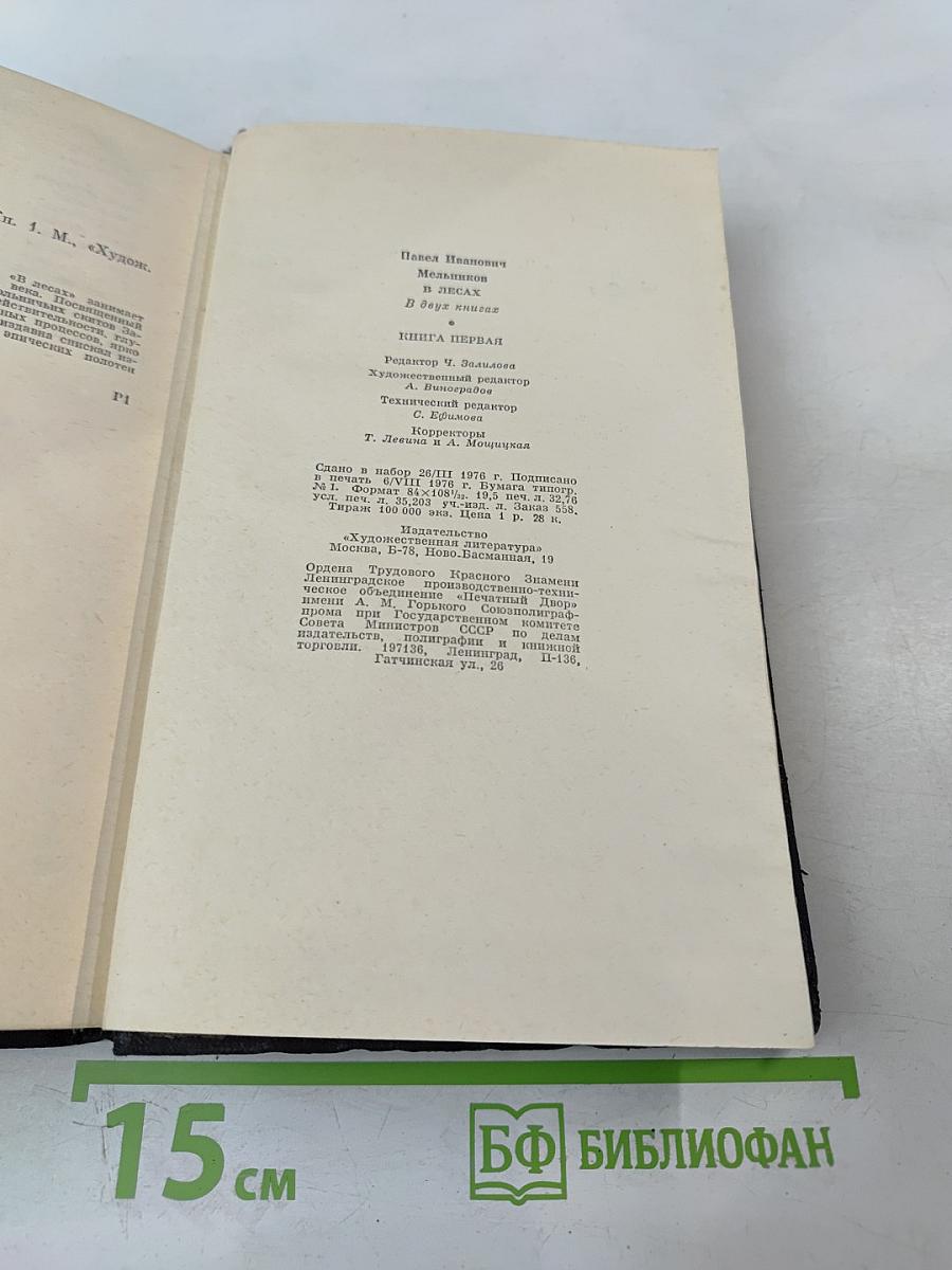 В Лесах. Книга первая