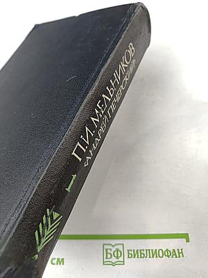 В Лесах. Книга первая