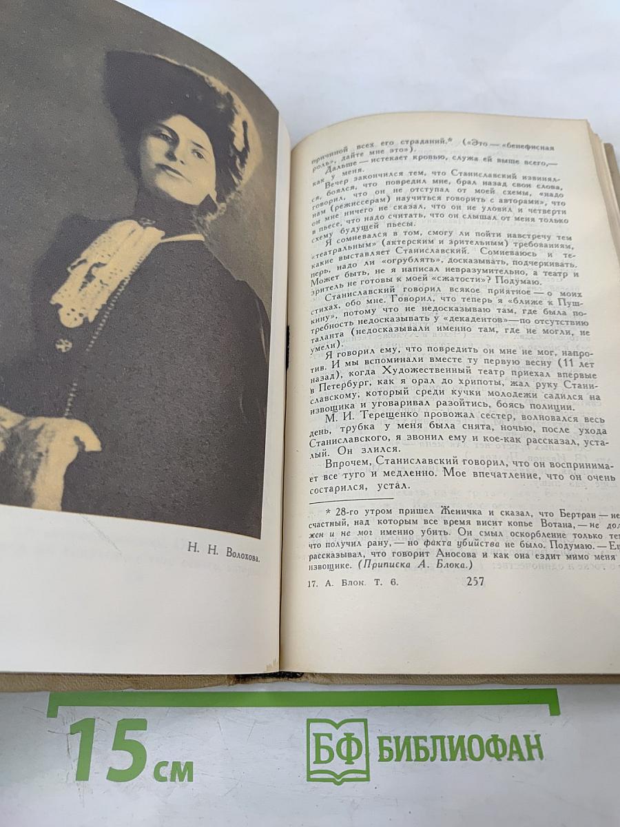Александр Блок. Собрание сочинений в шести томах. Том 6