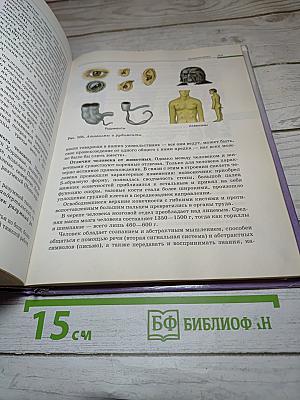 Биология. Общая биология. 10-11 классы