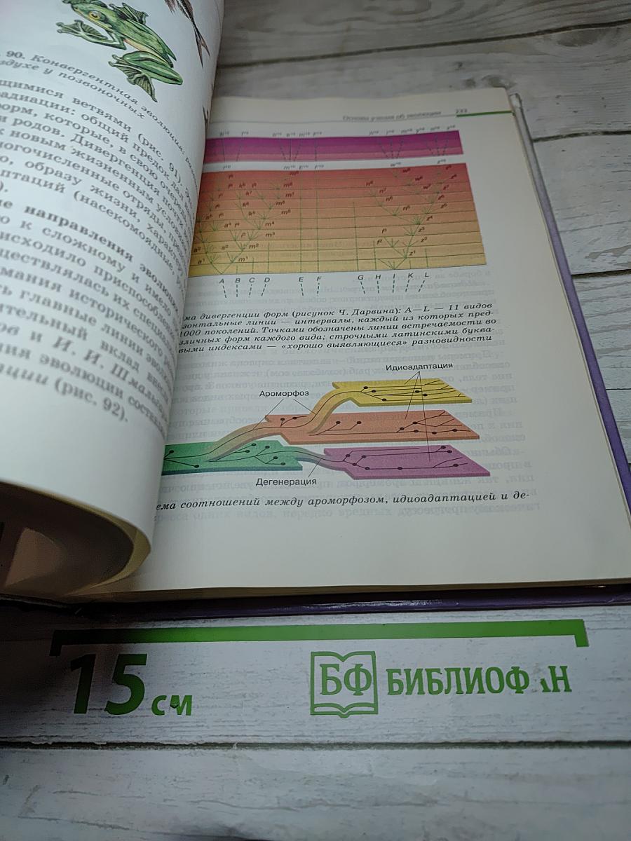 Биология. Общая биология. 10-11 классы