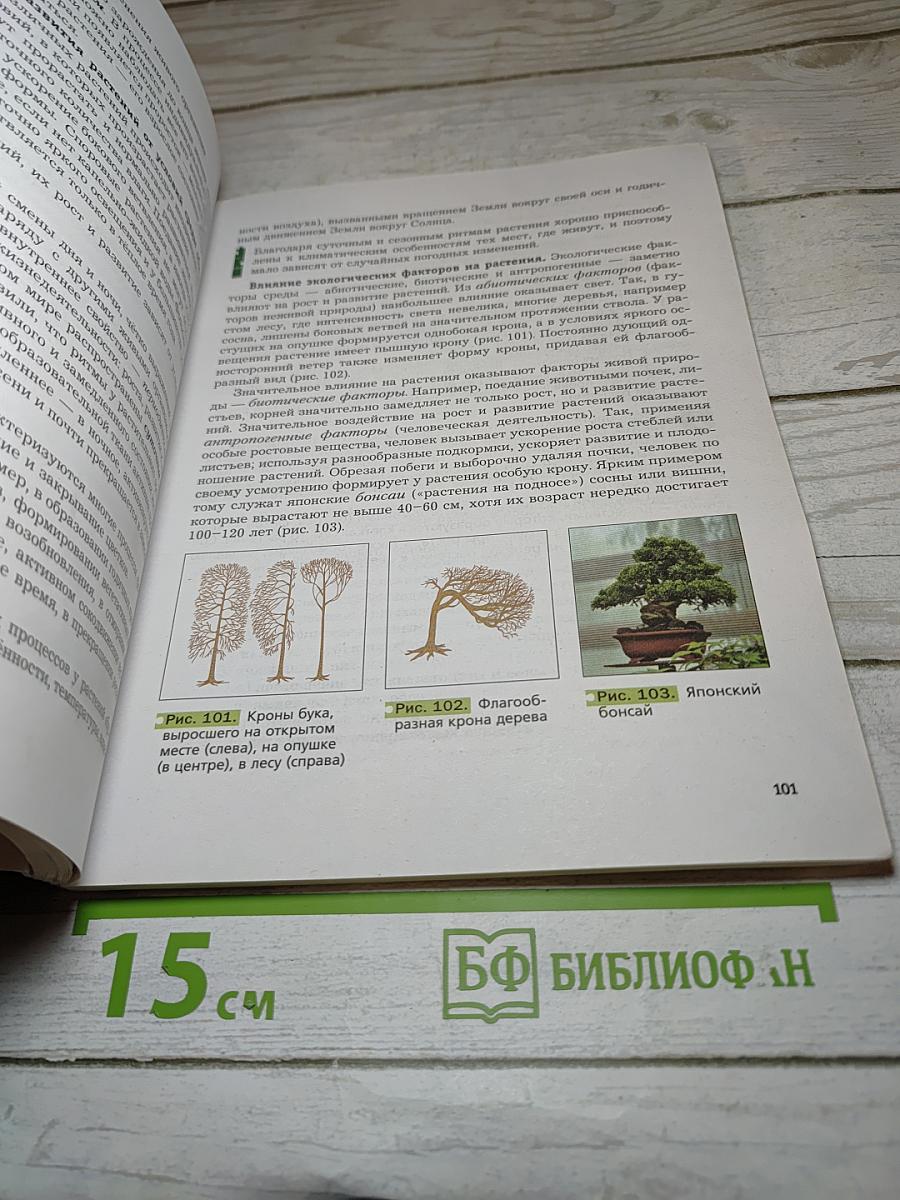 Биология 6 класс