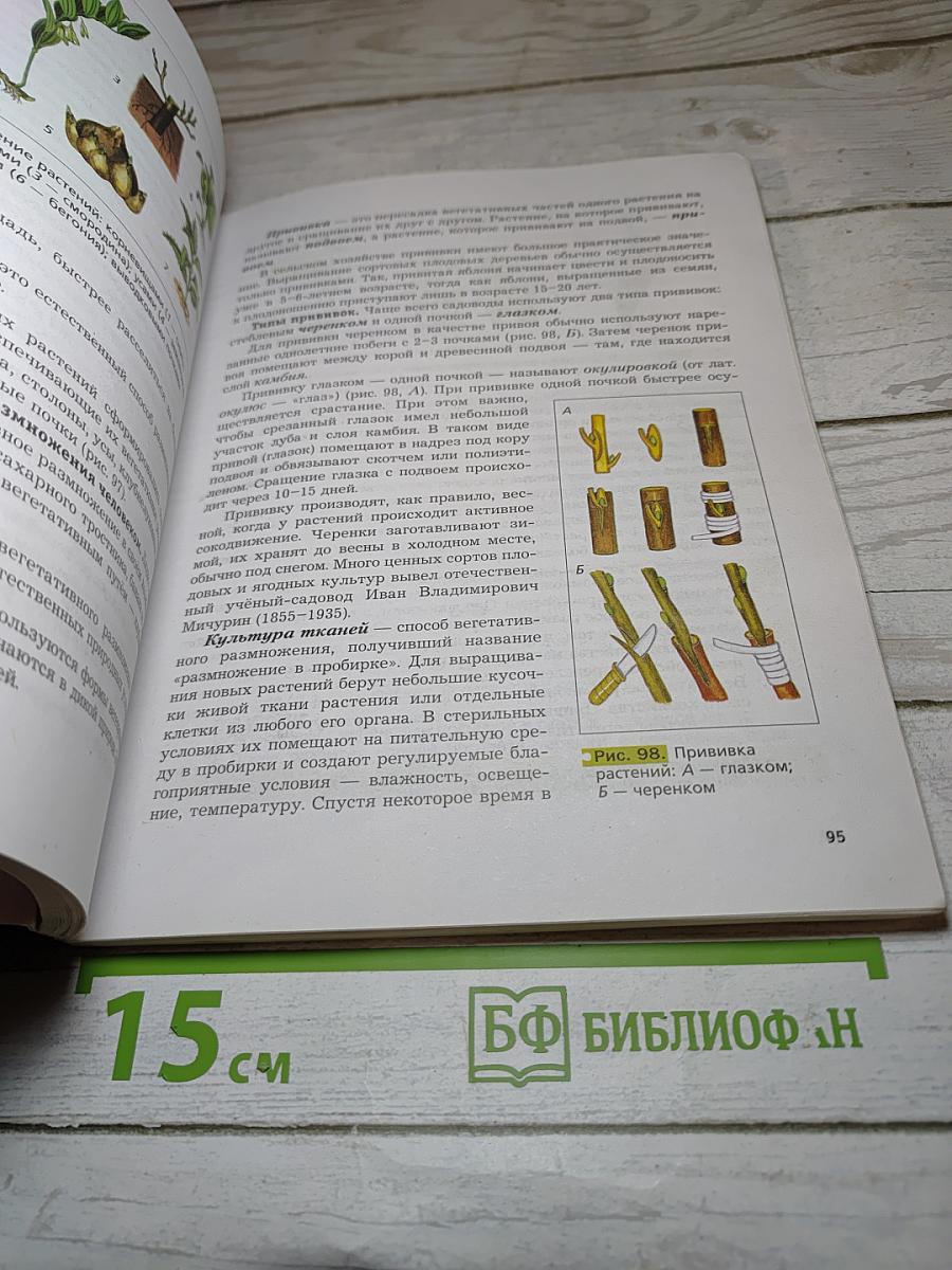 Биология 6 класс