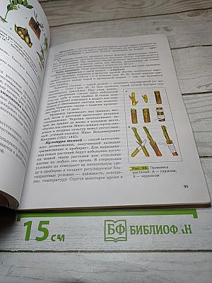 Биология 6 класс