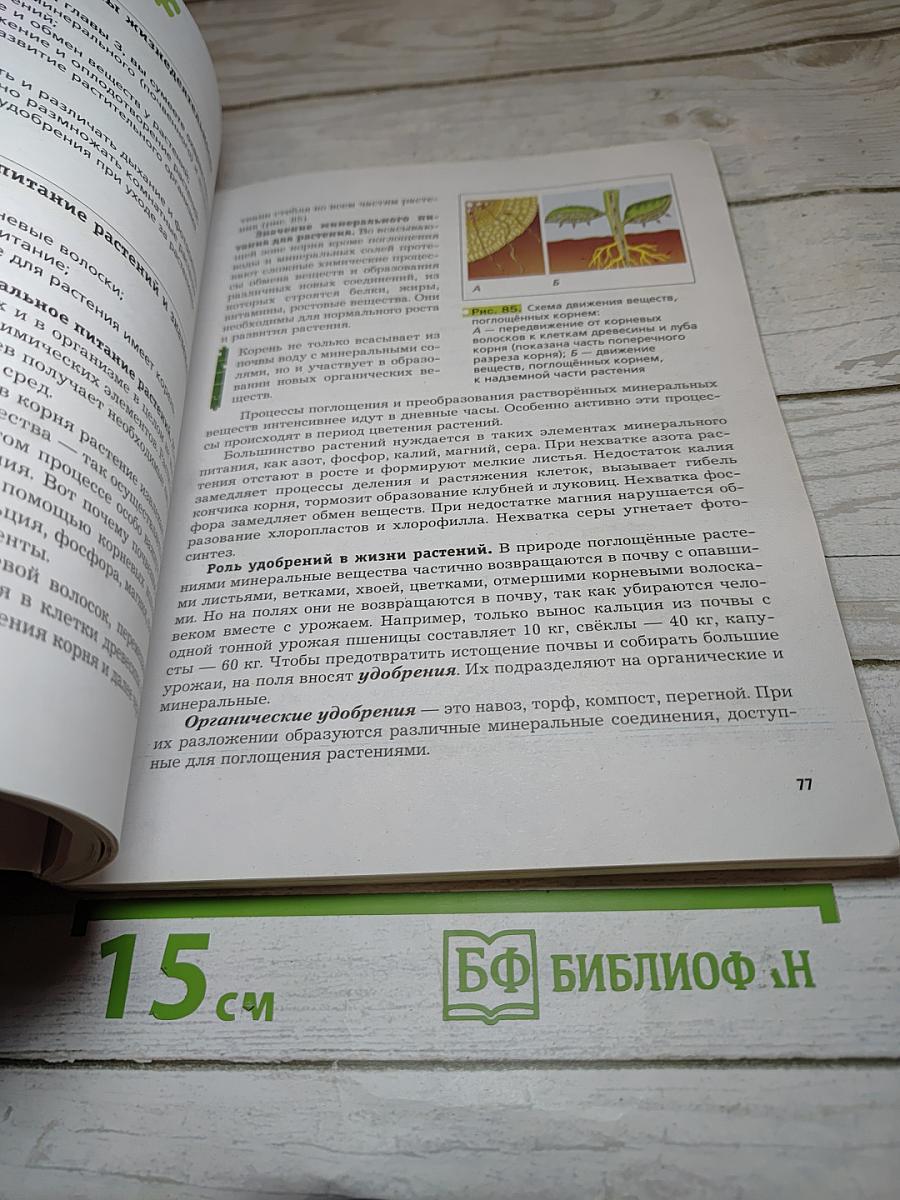 Биология 6 класс