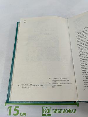 Звезды над Вислой