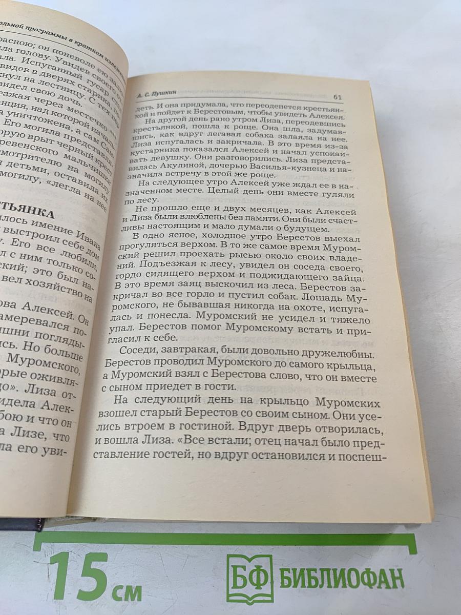 Все произведения школьной программы по литературе в кратком изложении