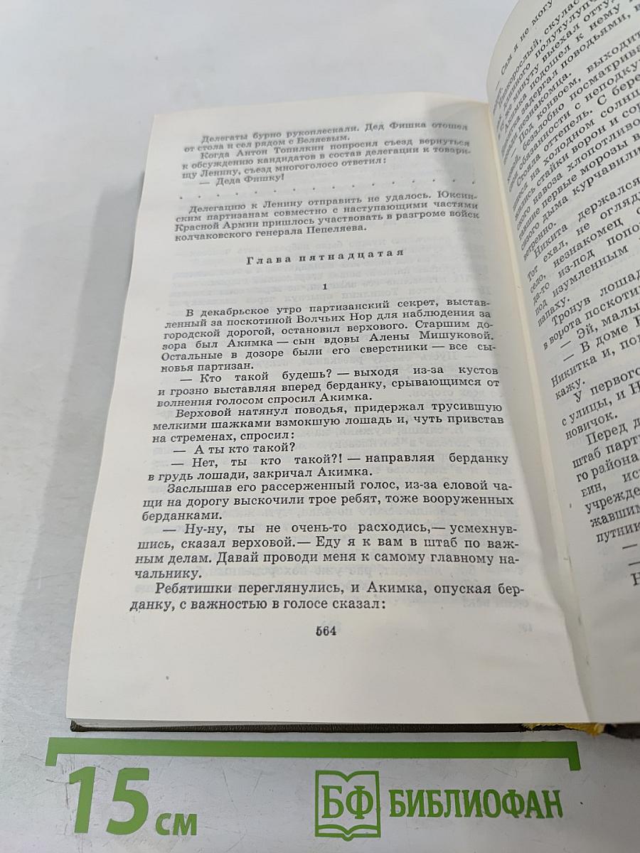 Строговы. Собрание сочинений. Том первый