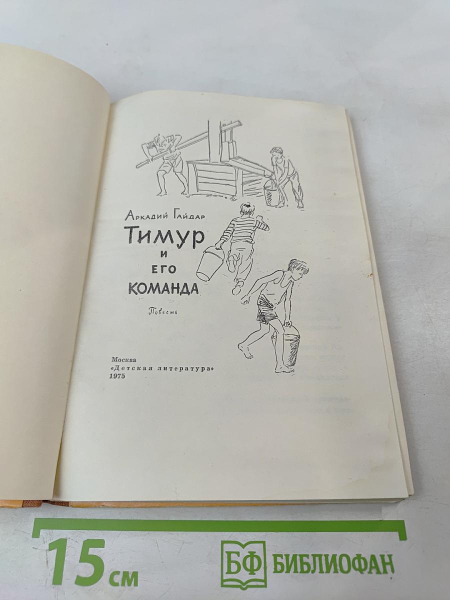 Тимур и его команда