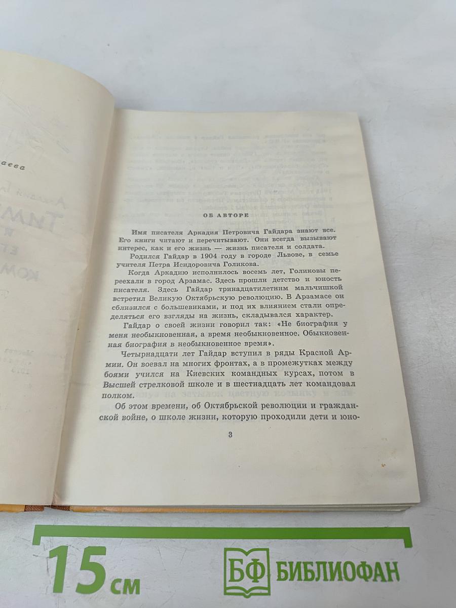 Тимур и его команда