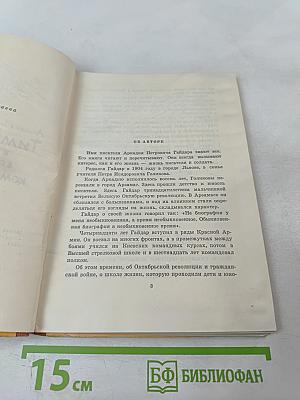 Тимур и его команда