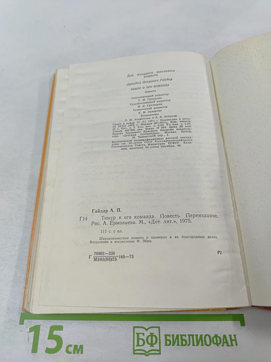 Тимур и его команда