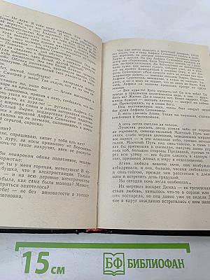 Черный Тополь. Сказания о людях тайги