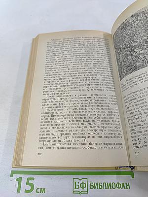 Нервно-мышечные болезни